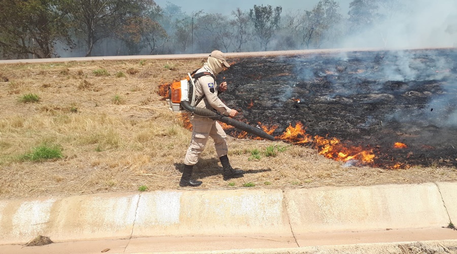 Imagem: c7525016 2b24 4caf b671 bc46a528d727 Focos de incêndio caem até 99% após ações dos Bombeiros no Vale do São Lourenço