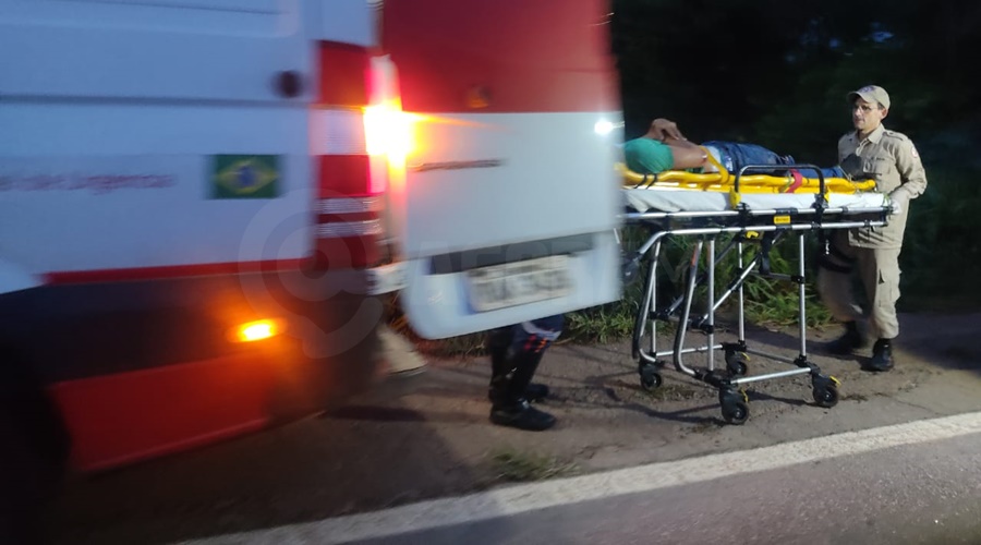 Imagem: 3a12ecd4 4fe7 4faf aea1 9e790ac612a3 Motorista freia para não atropelar cachorros e provoca batida com motociclista na BR-364