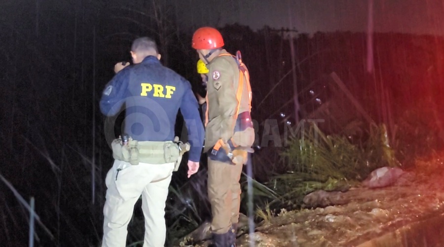 Imagem: Equipes de Bombeiros e PRF no local Caminhoneiro morre após perder o controle, cair em ribanceira e ficar preso às ferragens